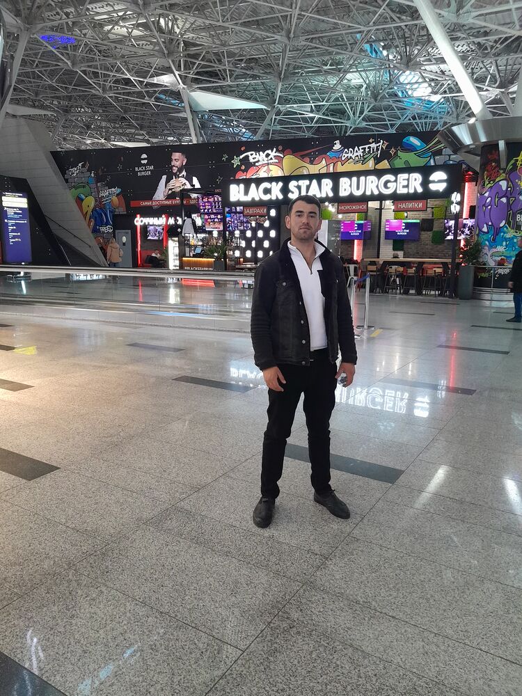 ���� 33788160 ������� Terlan, 28 ���, ���� ���������� � �����������