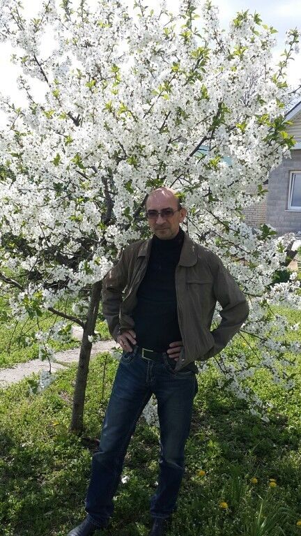  ,   , 56 ,   
