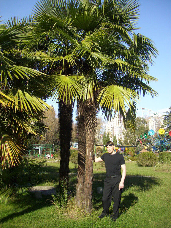 ���� 6214220 ������� Valentin, 51 ���, ���� ���������� � ���������