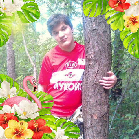 ���� 41937750 ������� ���������, 27 ���, ���� ���������� � �������