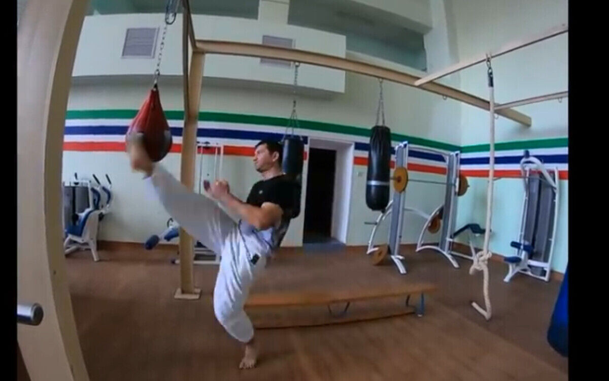 ���������� �����������, ���� ������� ���������, 43 ����, ������������ 