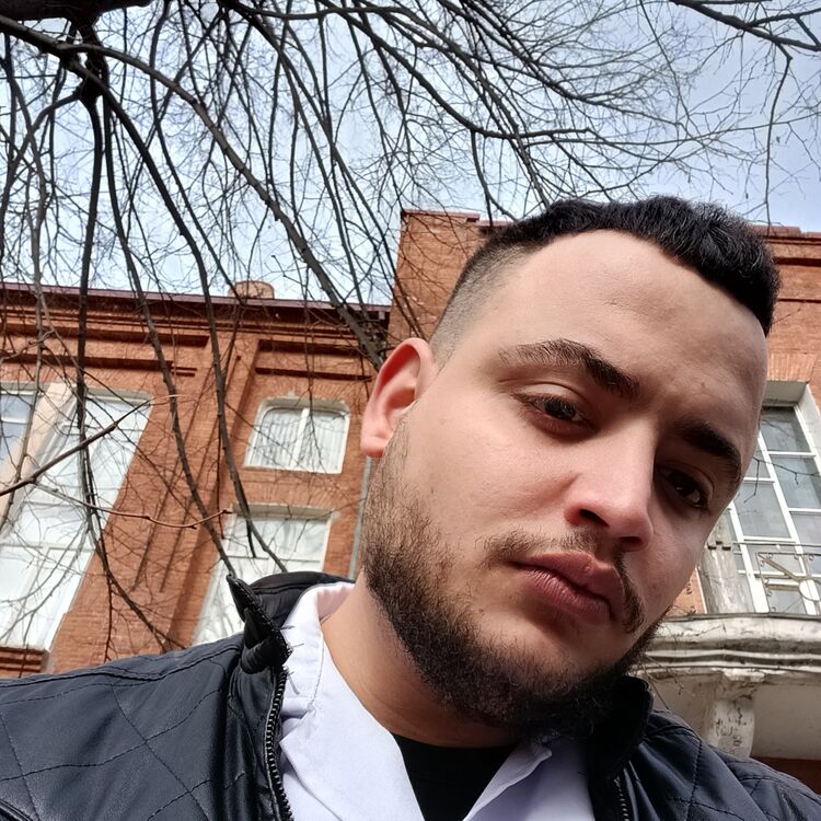  41316550  , 24 ,    