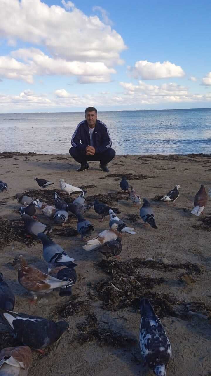  29797090  , 43 ,    