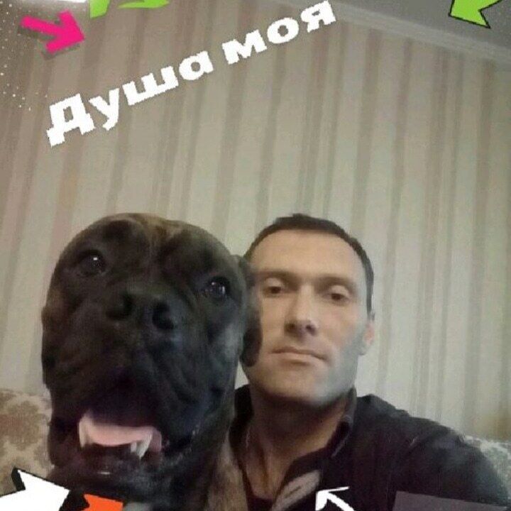 ���� 23907520 ������� �����, 44 ����, ���� ���������� � ������