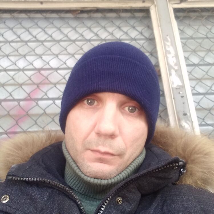 ���� 42460560 ������� �������, 38 ���, ���� ���������� � �������������