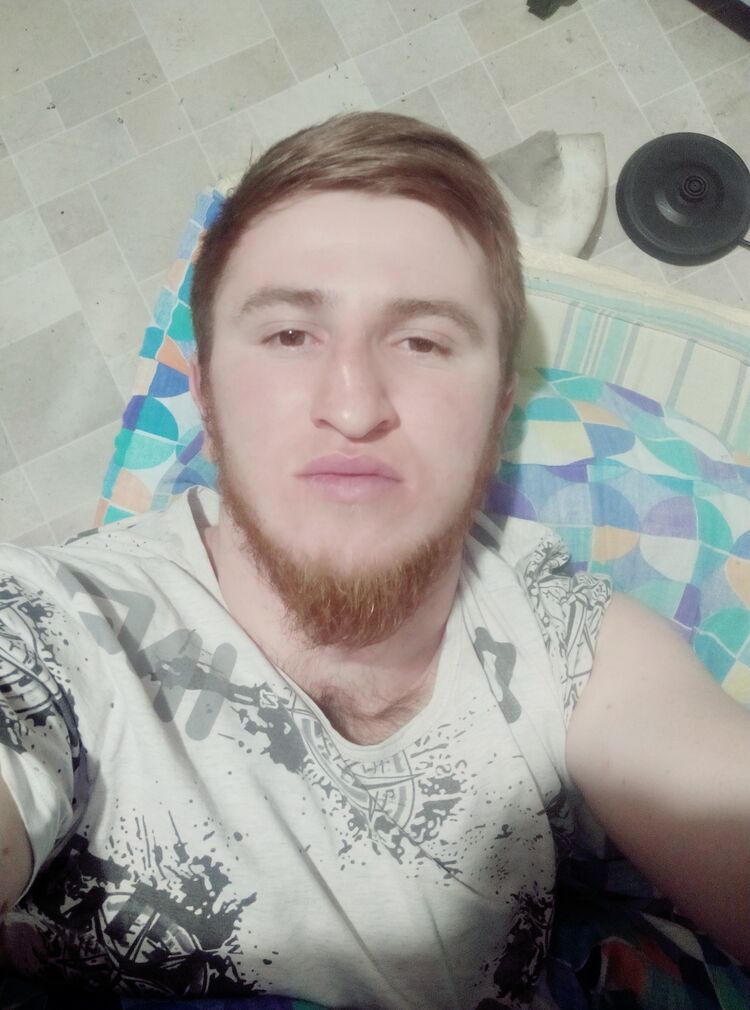  29308880  , 24 ,    