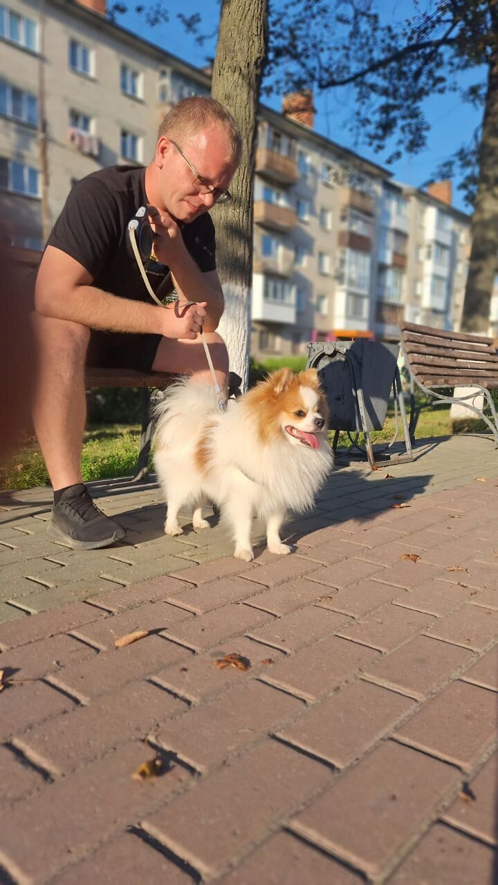 ���� 55615900 ������� �������, 32 ����, ���� ���������� � ����������