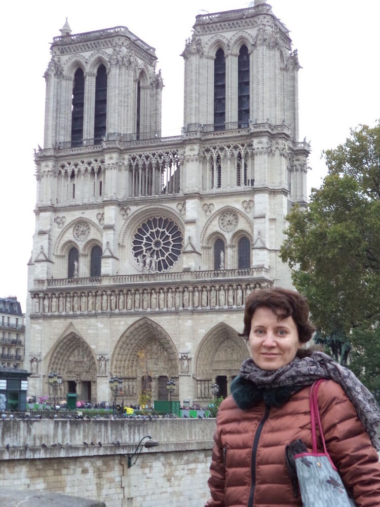 ���� 9336620 ������� ����, 50 ���, ���� ���������� � �������������