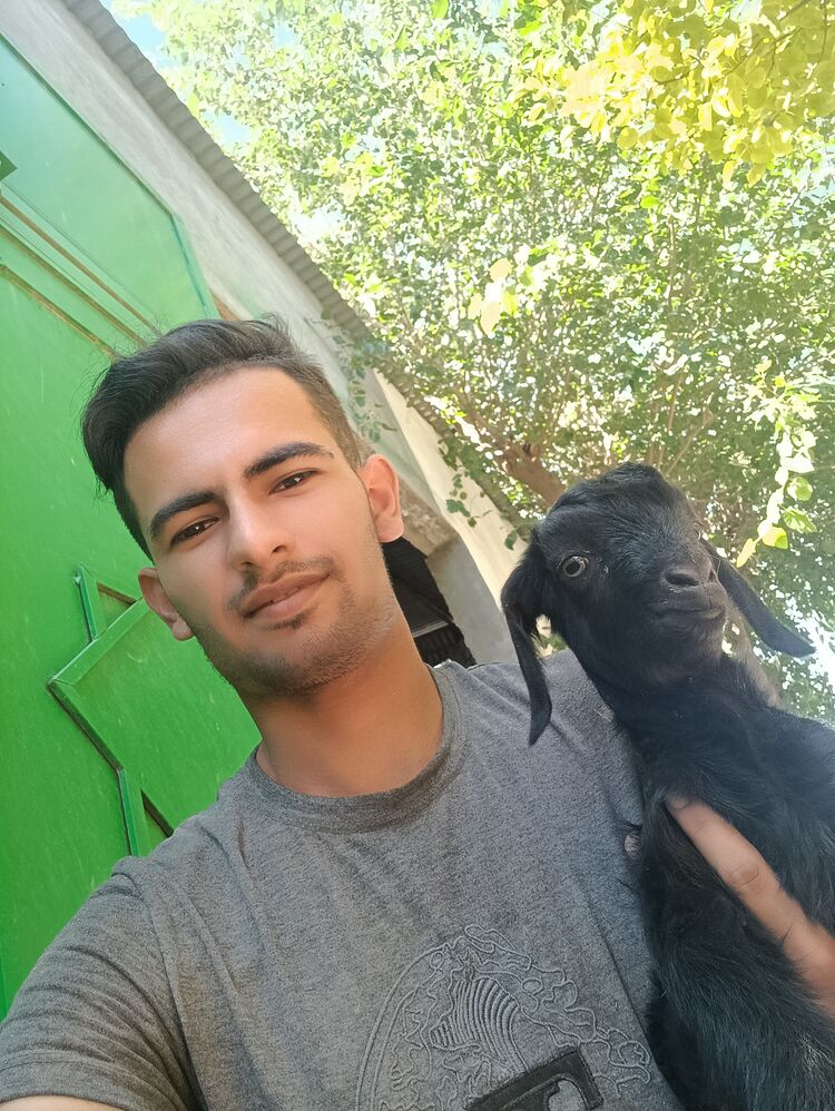  44775420  , 25 ,    