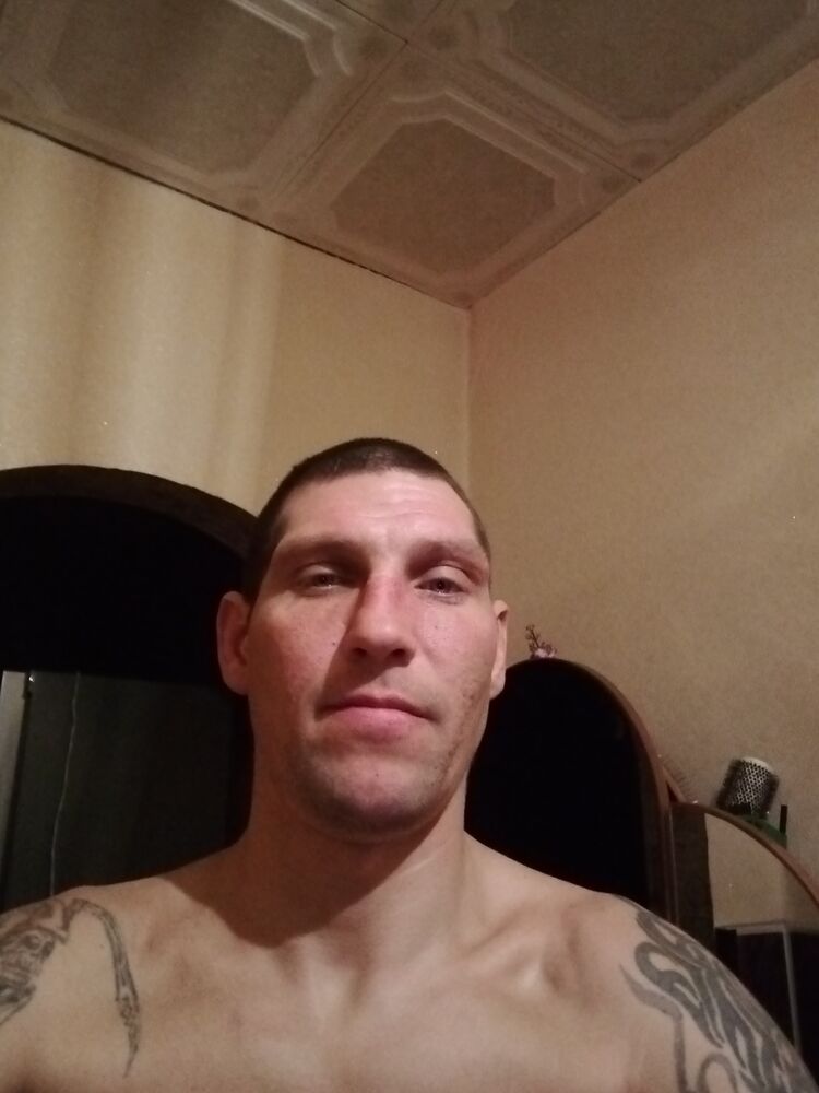  24346760  , 41 ,    