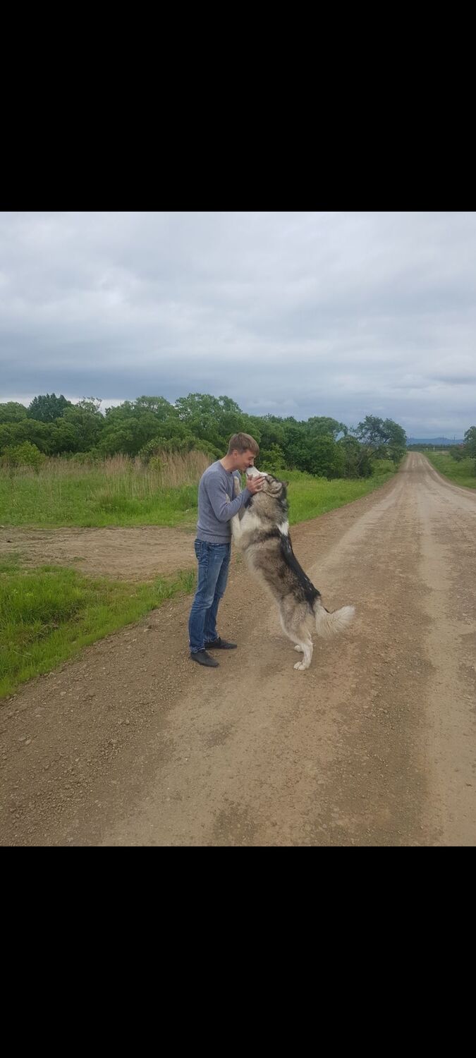 ���� 55642090 ������� ���������, 39 ���, ���� ���������� � ������������