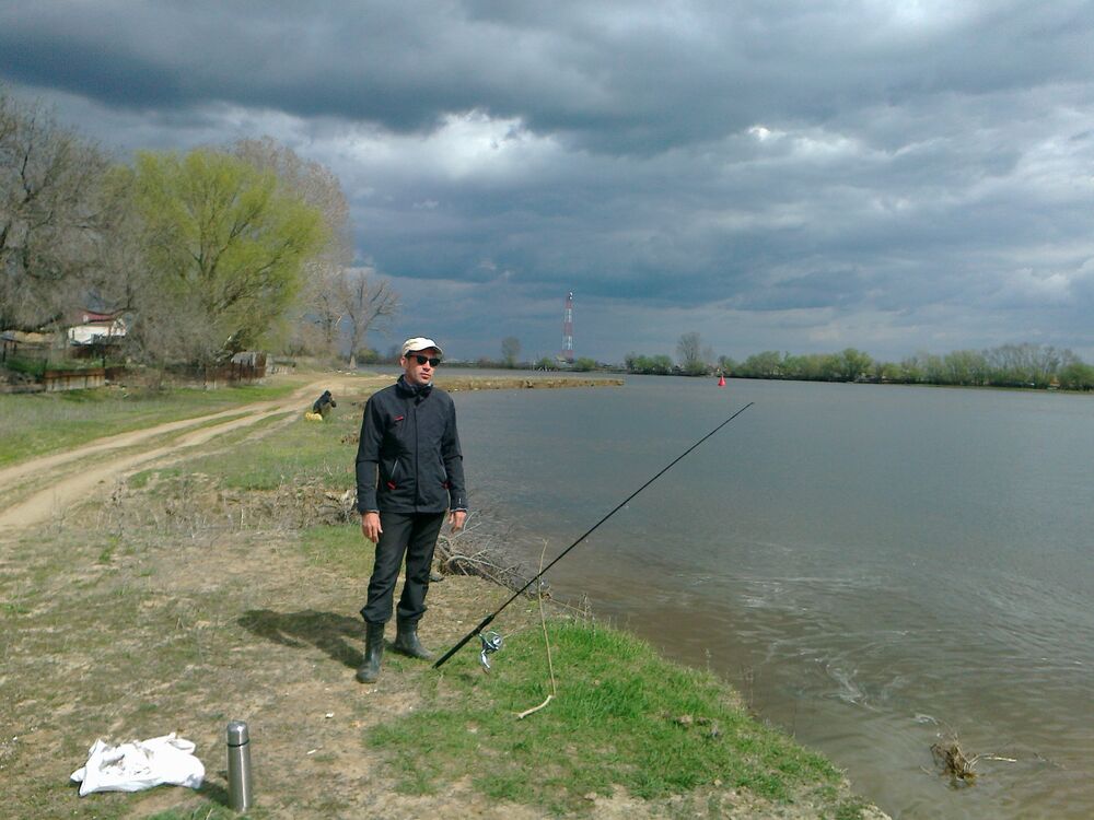 ���� 55879090 ������� ���������, 46 ���, ���� ���������� � ���������