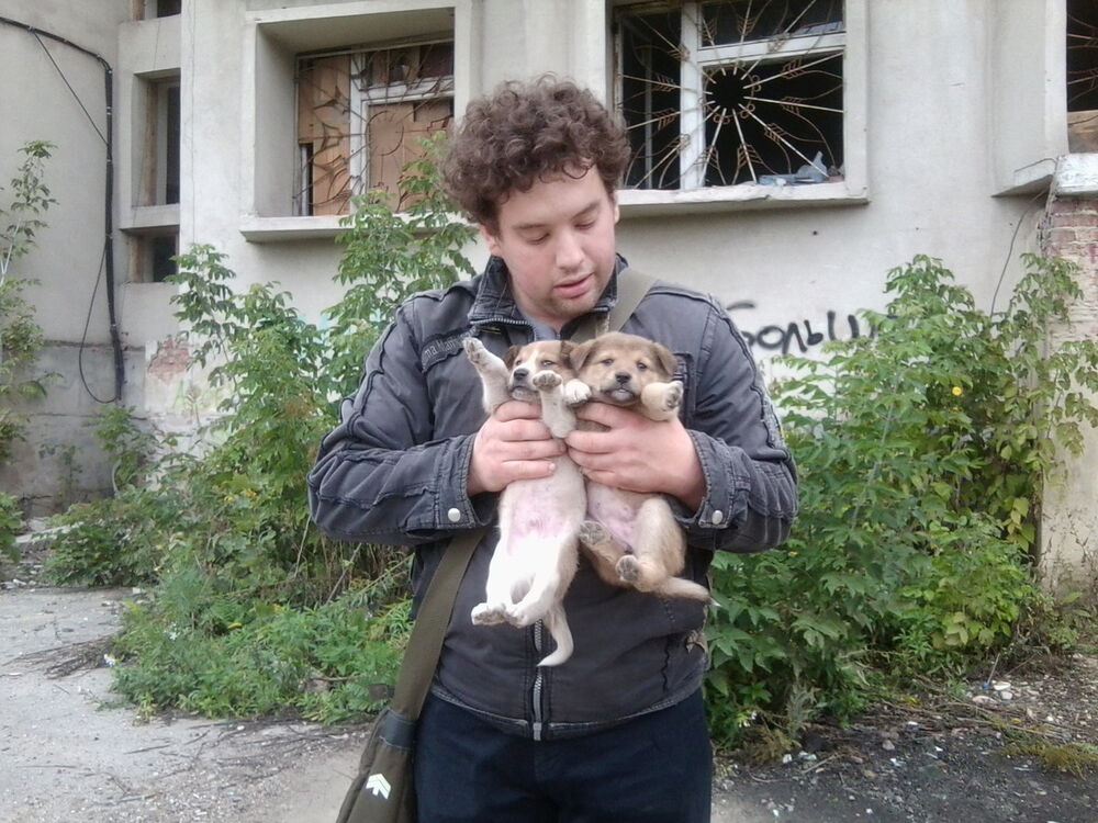 ���� 7311810 ������� �������, 31 ���, ���� ���������� � ����