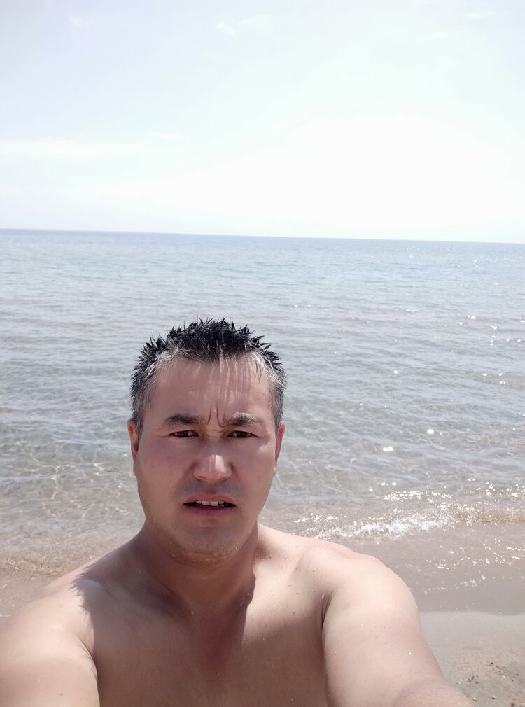 ���� 31951480 ������� ������, 40 ���, ���� ���������� � �������