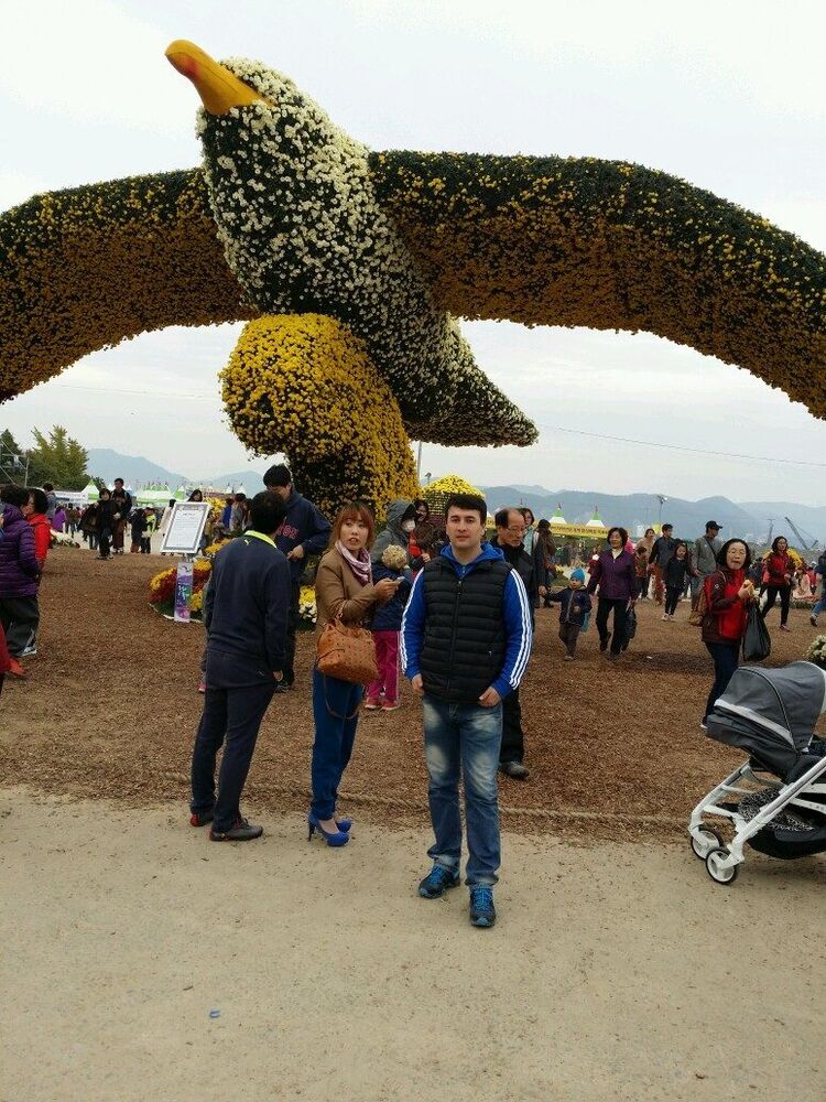 ���� 54966140 ������� ULFAT, 40 ���, ���� ���������� � ��������