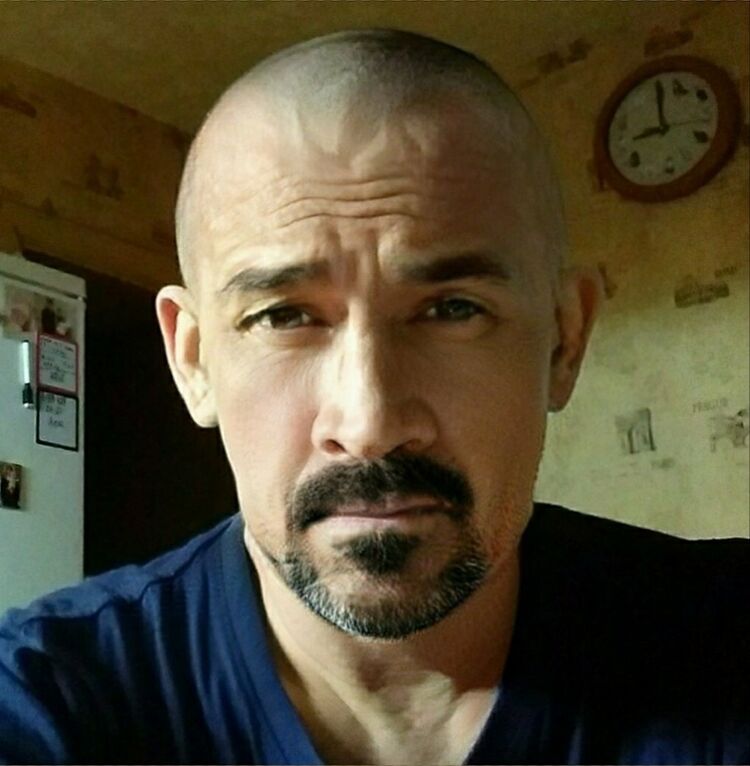 ���� 24201800 ������� ������, 50 ���, ���� ���������� � ������������