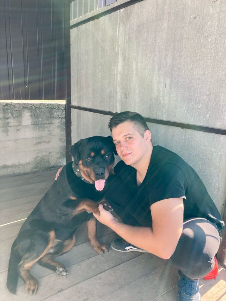 ���� 25359990 ������� ������, 28 ���, ���� ���������� � ���������