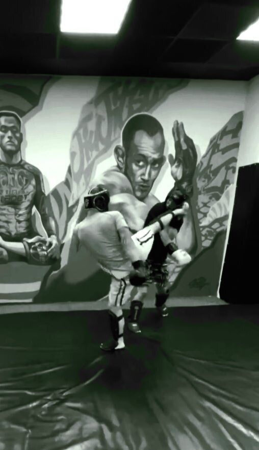 ���������� �����-���������, ���� ������� ����������, 27 ���, ������������ ��� ������, ����� � ���������