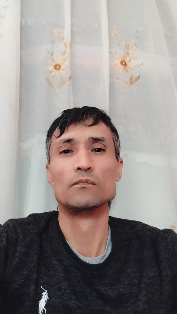  50139780  , 46 ,    -