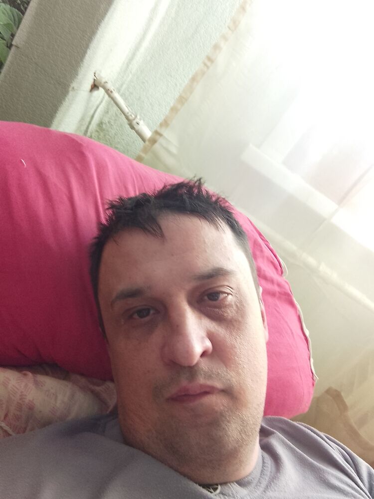  33551750  , 41 ,    