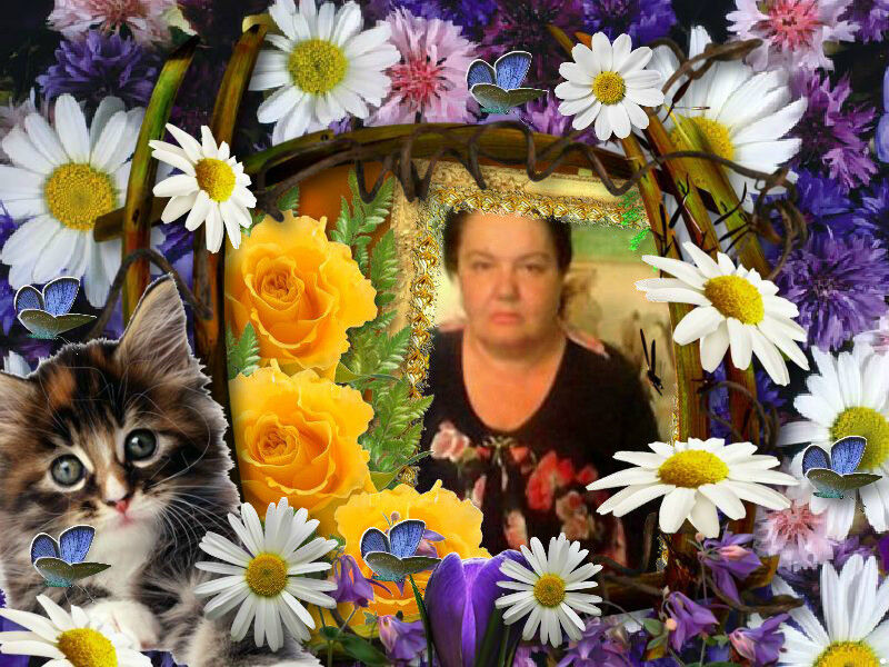  ,   , 71 ,   ,   , c 