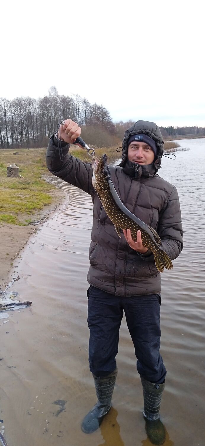 ���� 55799360 ������� ������, 33 ����, ���� ���������� � ������