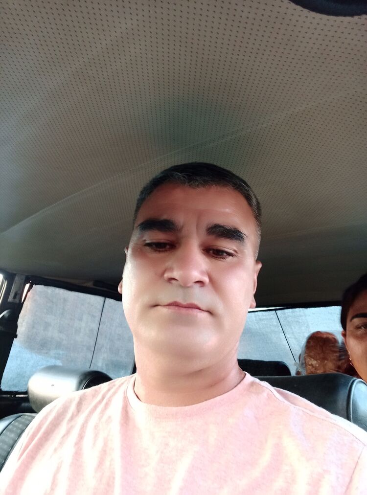  38497390  , 43 ,    