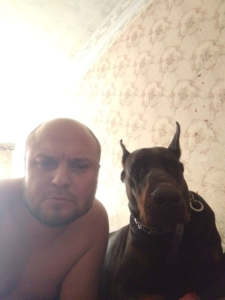  52880260  Konstantin, 37 ,    