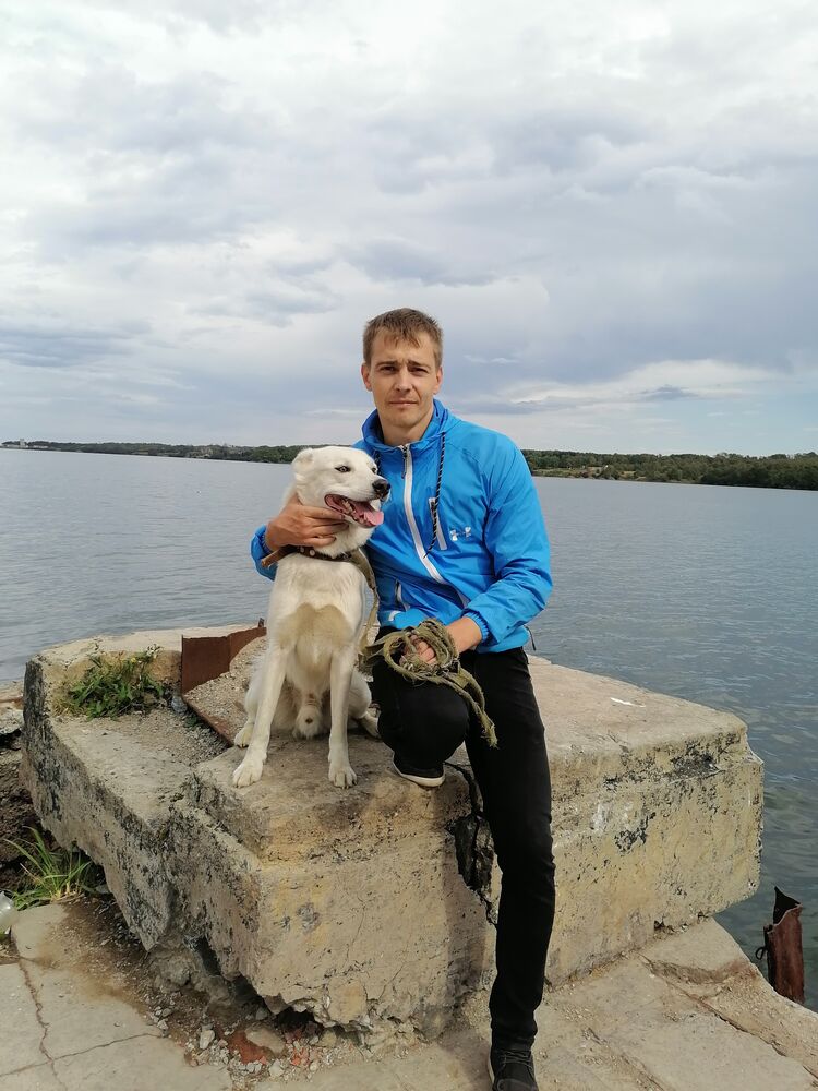 ���� 33093390 ������� ������, 36 ���, ���� ���������� � ����������