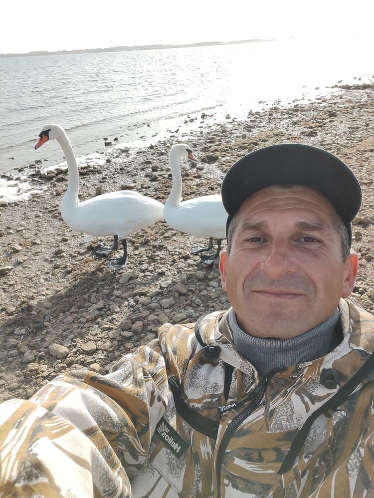 ,   , 44 ,   