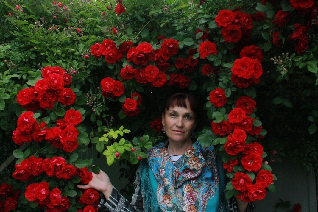  ,   , 54 ,     , 