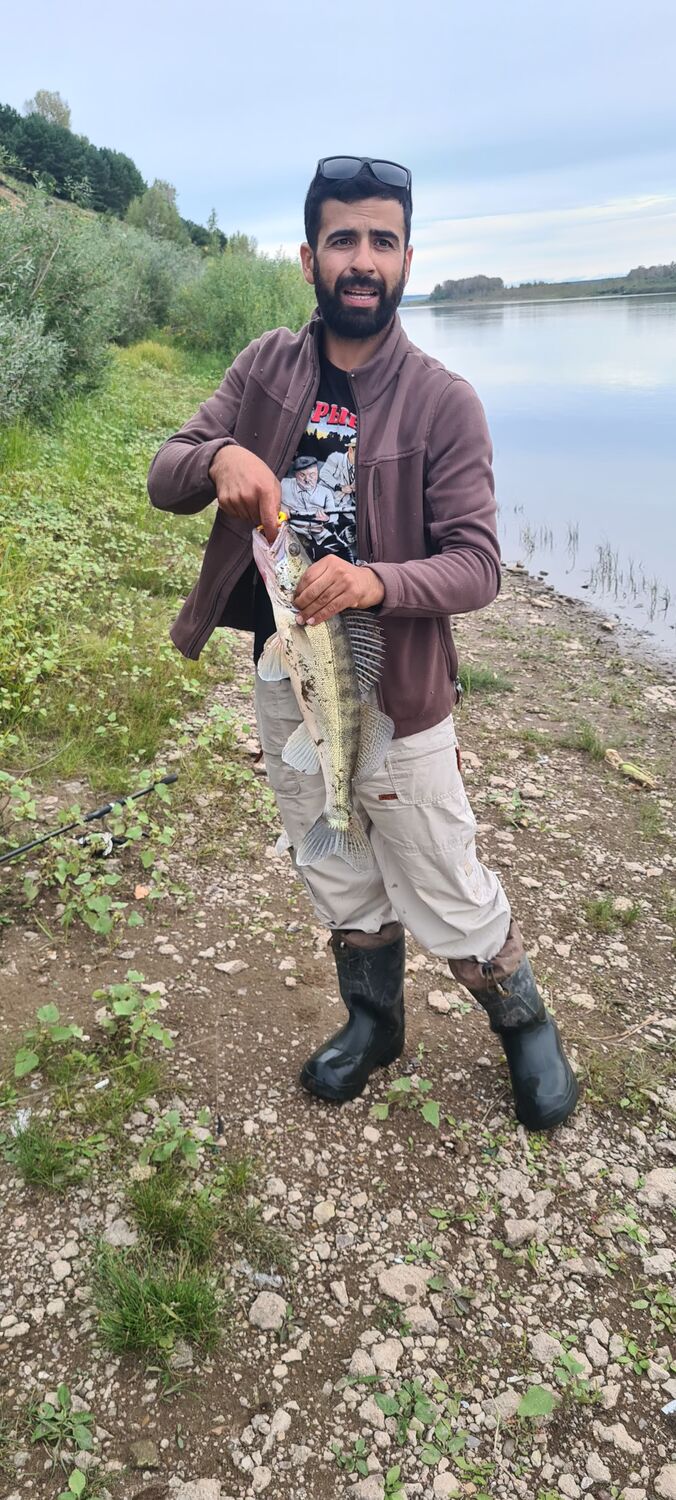 ���� 54767750 ������� �����, 30 ���, ���� ���������� � ���