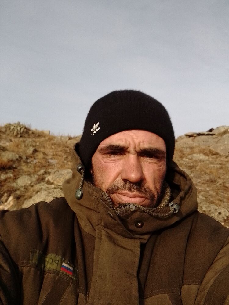  49641150  , 41 ,    