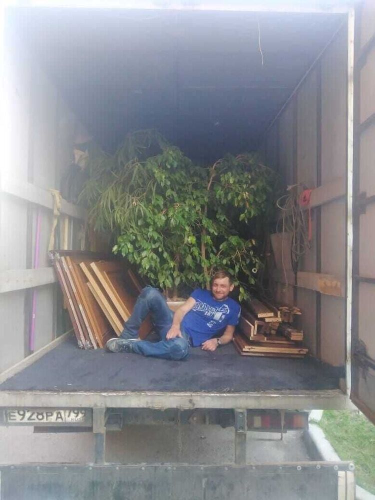 ���� 25916230 ������� �������, 38 ���, ���� ���������� � ������