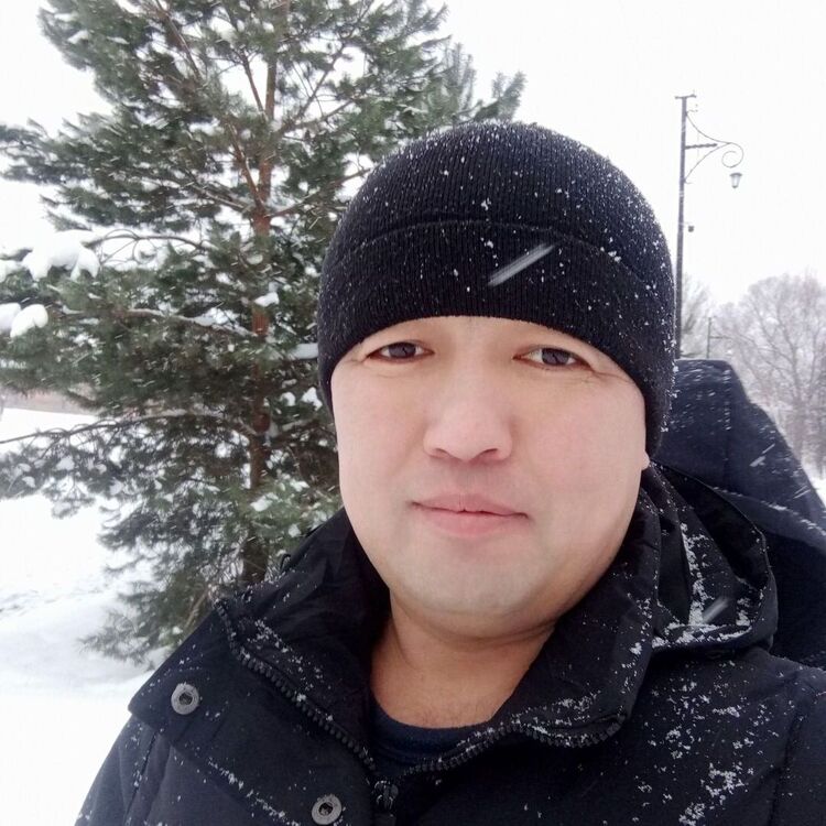 ���� 25024300 ������� �����, 43 ����, ���� ���������� � ���������