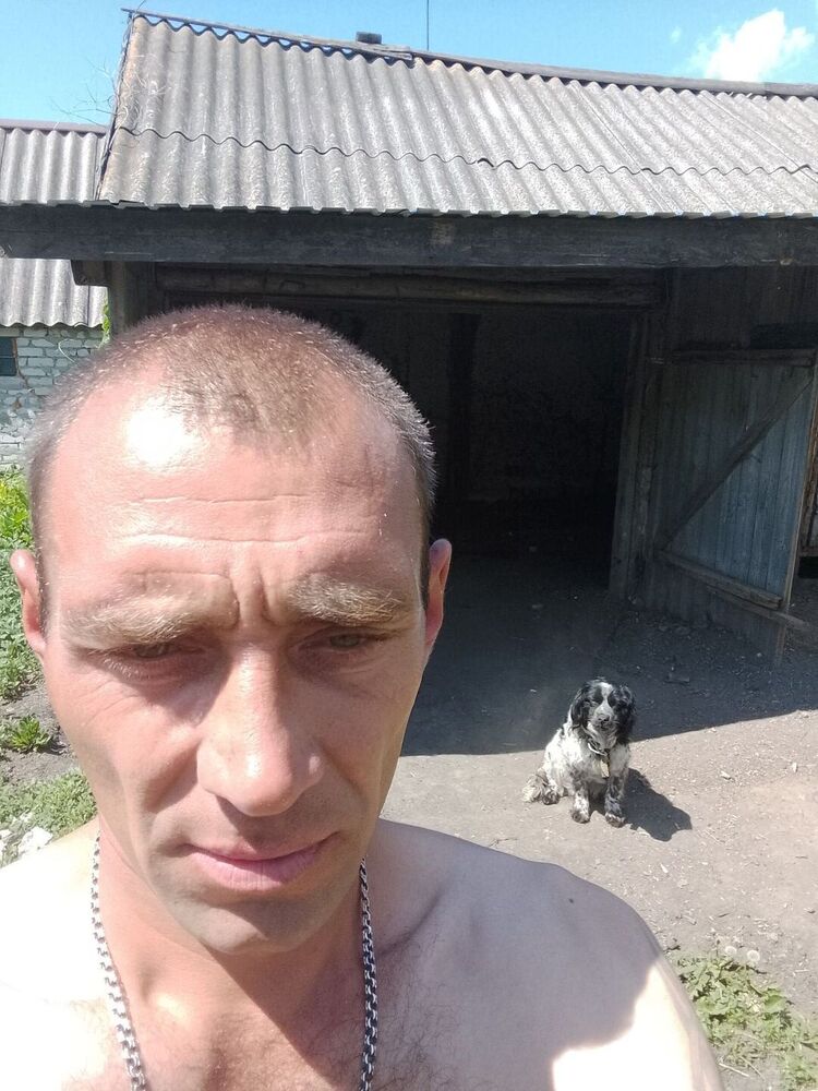  51817380  , 38 ,    