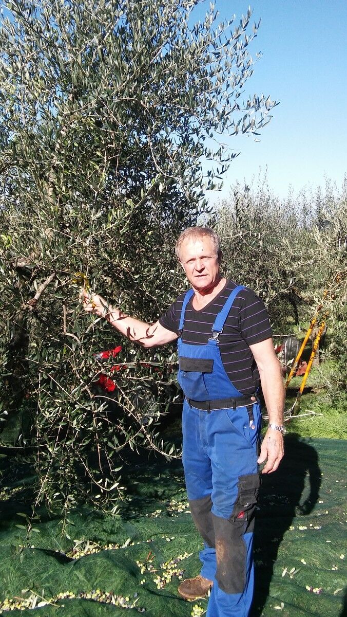  ,   , 68 ,   ,   , c 