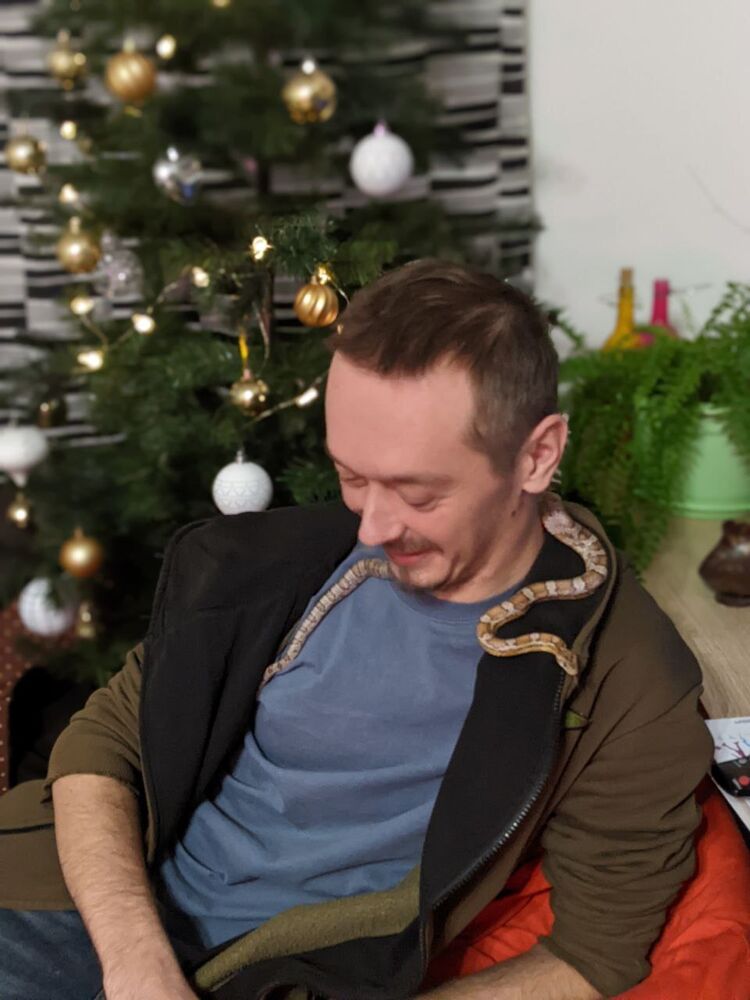 ���������� ������, ���� ������� �����, 37 ���, ������������ 