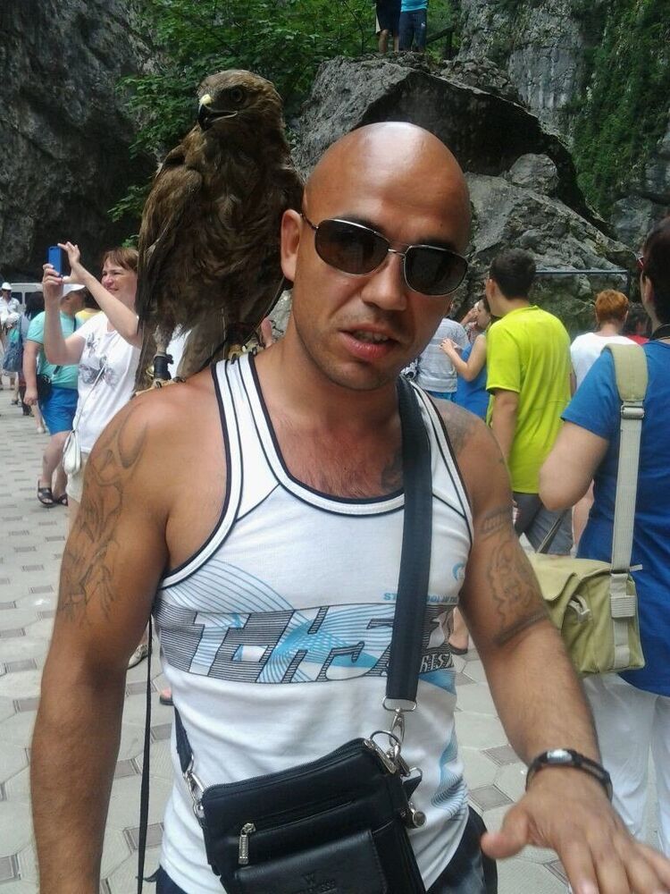  24098050  , 42 ,    -