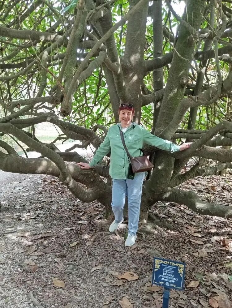 ���� 56262120 ������� �����, 59 ���, ���� ���������� � �������