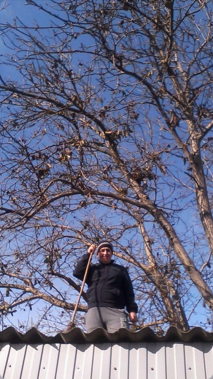 ���������� ����������, ���� ������� ������, 31 ���, ������������ ��� ������, ����� � ���������