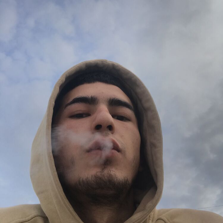  34719790  , 23 ,    