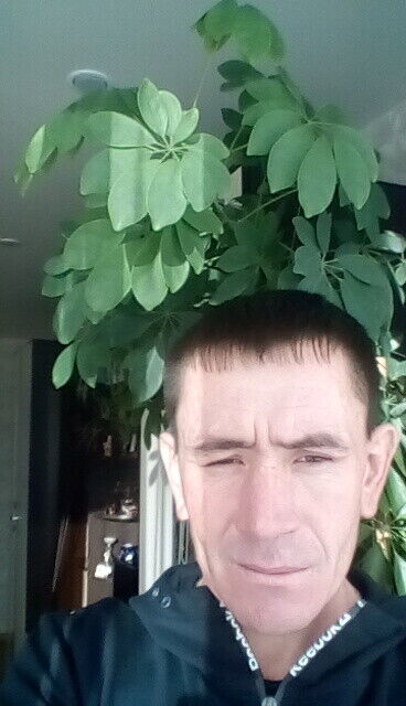 ���������� ����, ���� ������� ����, 43 ����, ������������ ��� ������, ����� � ���������