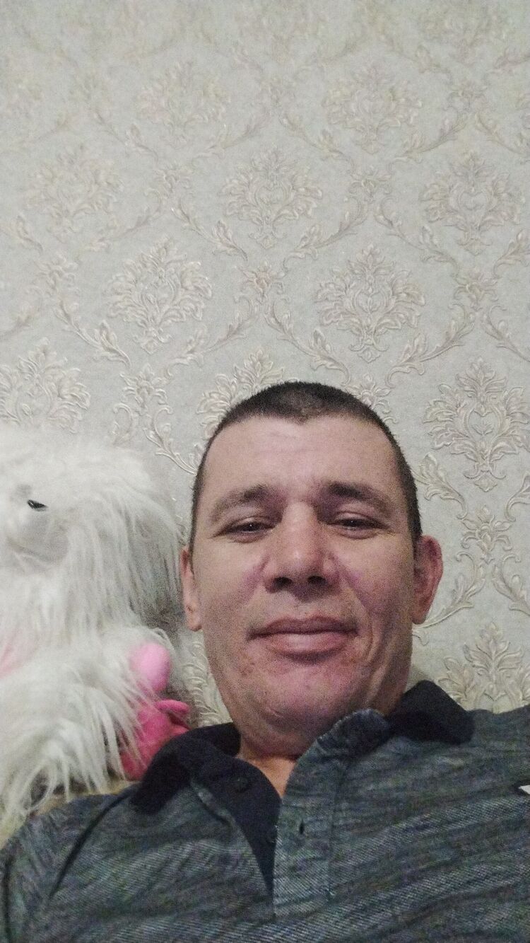  31254670  , 47 ,    