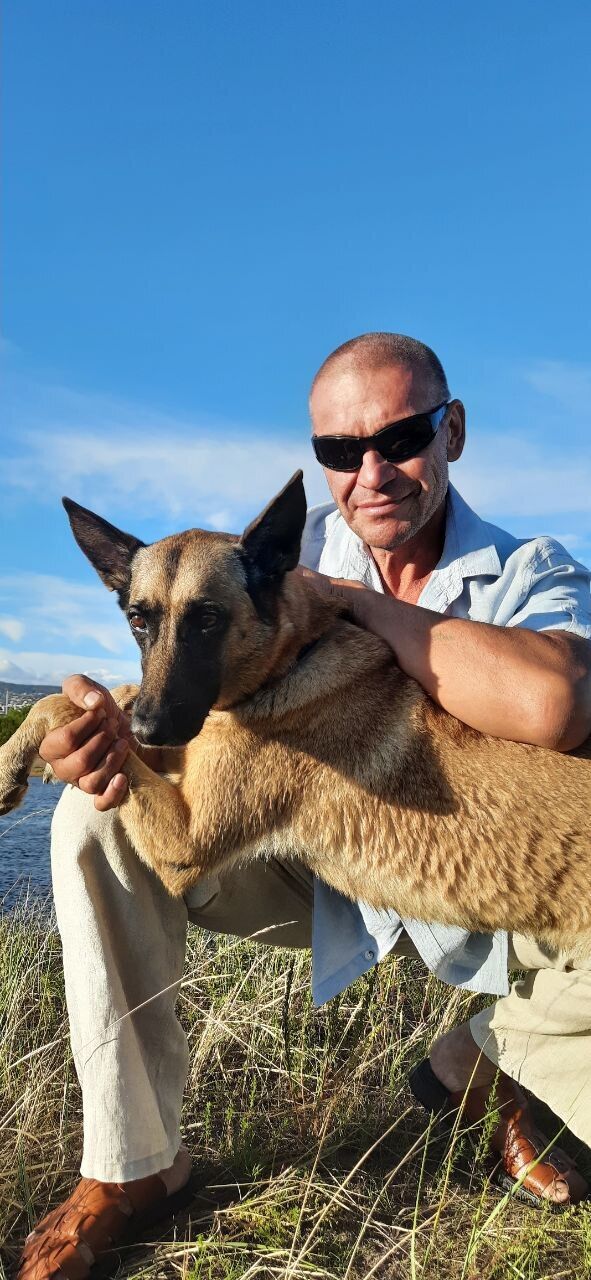  53305380  , 49 ,    -