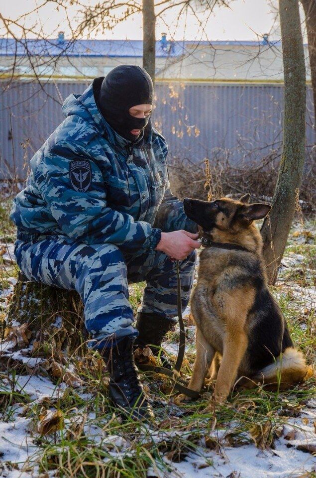 ���� 25582460 ������� �������, 30 ���, ���� ���������� � ������