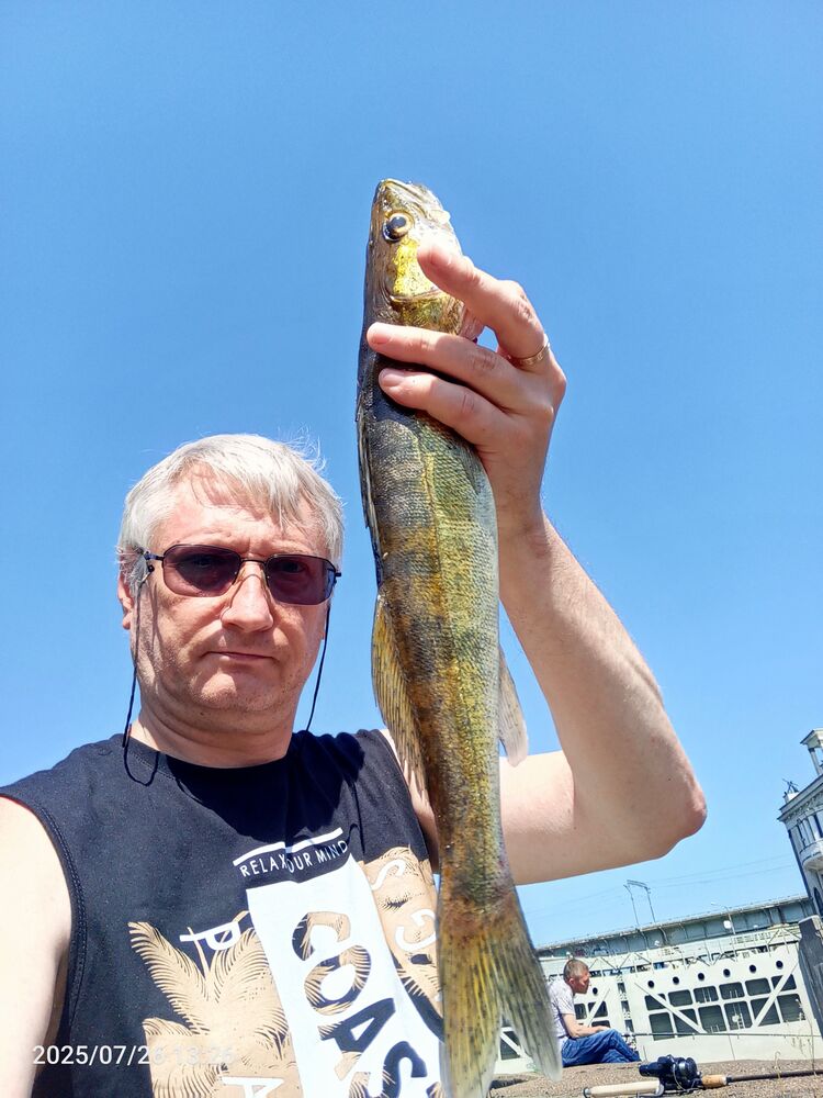 ���������� ������, ���� ������� Olezik, 54 ����, ������������ ��� ������, ����� � ���������