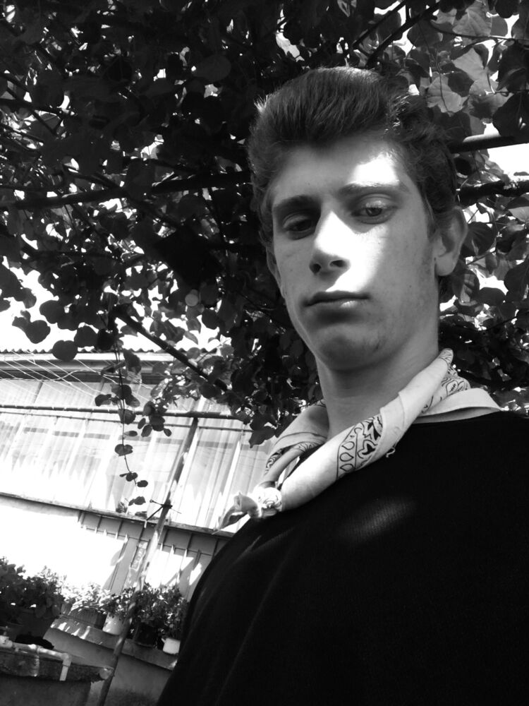 ���� 23654190 ����� Gurami, 22 ����, ���� ���������� � �������