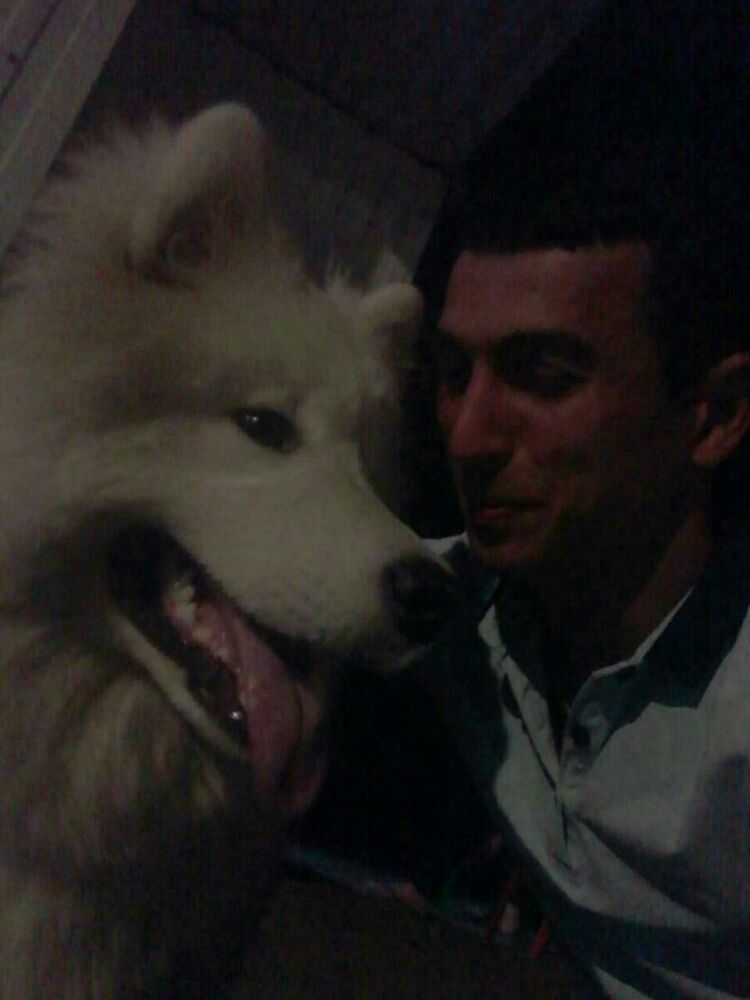 ���� 22083980 ������� ׸����, 32 ����, ���� ���������� � �������������