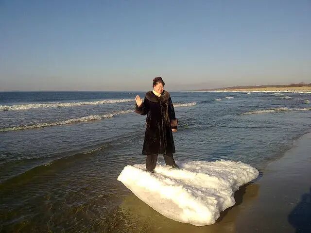 ���� 55159970 ������� ������, 66 ���, ���� ���������� � ���������